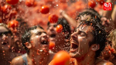Toma Terra Festival
