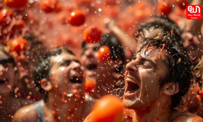 Toma Terra Festival