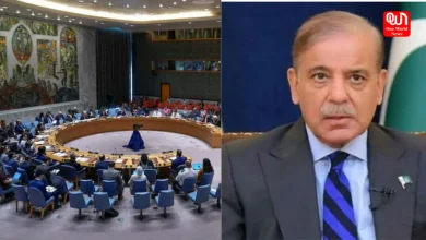UNSC Questions Pakistan