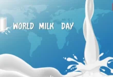 World Milk Day 2025