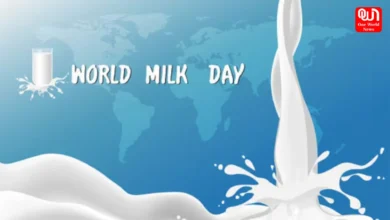 World Milk Day 2025