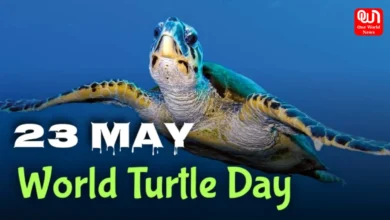 World Turtle Day 2025