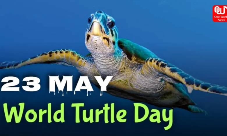 World Turtle Day 2025