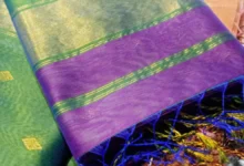 8 Handpicked Paithani Sarees