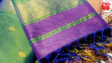 8 Handpicked Paithani Sarees
