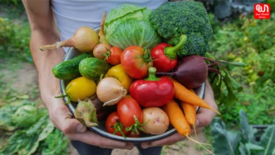 Best 5 vegetables in summer