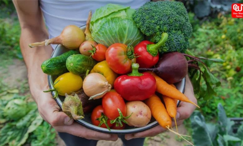 Best 5 vegetables in summer