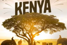 Best Time to Travel in Kenya
