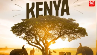Best Time to Travel in Kenya