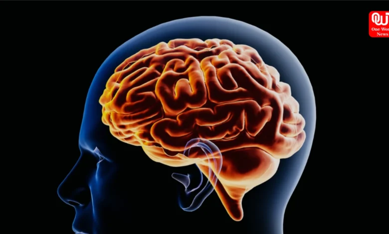 Brain Declutter Techniques