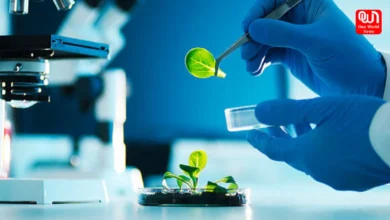 Career Option Of Biotechnology