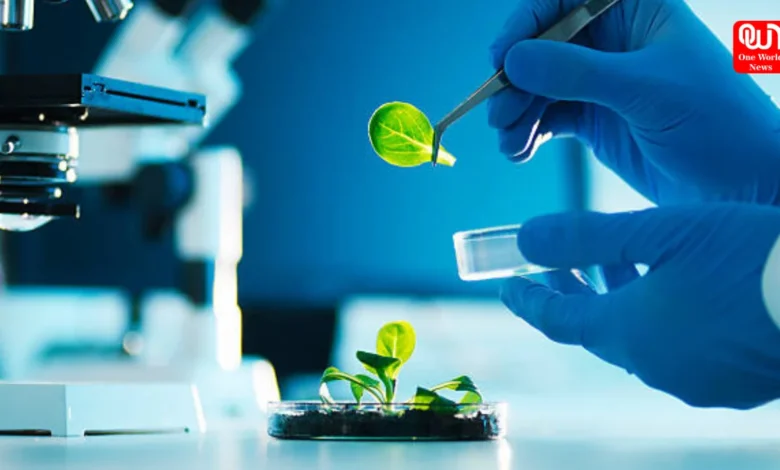 Career Option Of Biotechnology