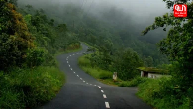 Discover Bengaluru Monsoon
