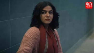 Hindi Thriller Films