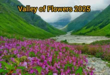Valley of Flowers 2025 travel guide