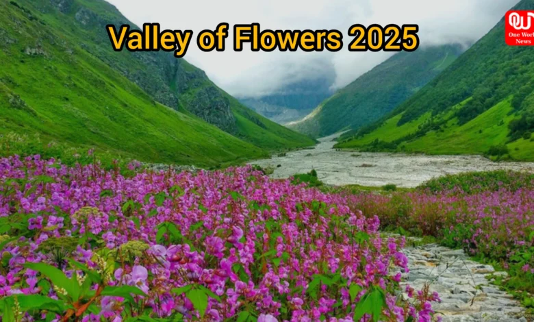 Valley of Flowers 2025 travel guide
