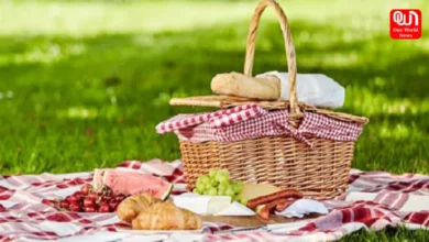 International Picnic Day
