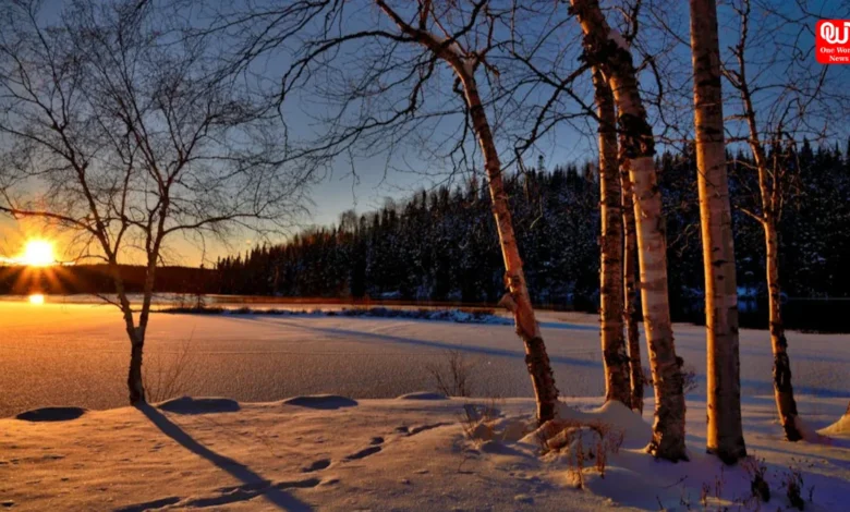 Longest Days Light
