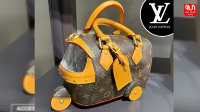 Louis Vuitton Luxury Handbag