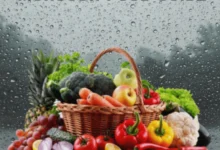 Monsoon Diet
