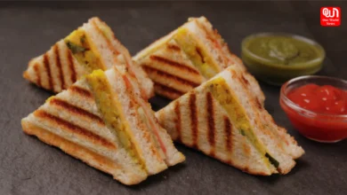 Sandwich Recipes
