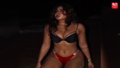 Sofia Ansari Sexy Video