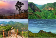 Travel In June