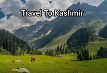 Travel To Kashmir