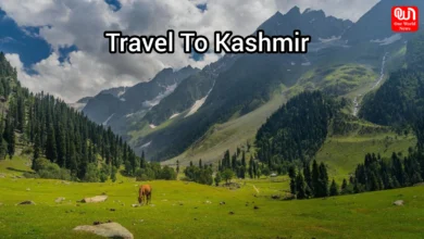 Travel To Kashmir