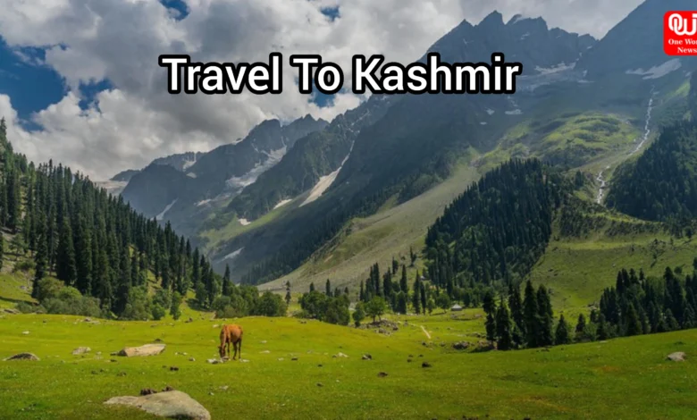 Travel To Kashmir