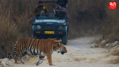 Why National Parks Close In Monsoon