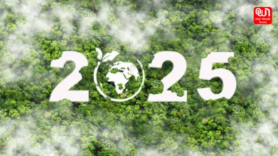 World Environment Day 2025