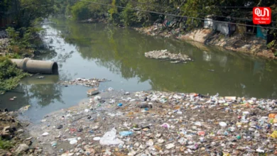World Environment Day