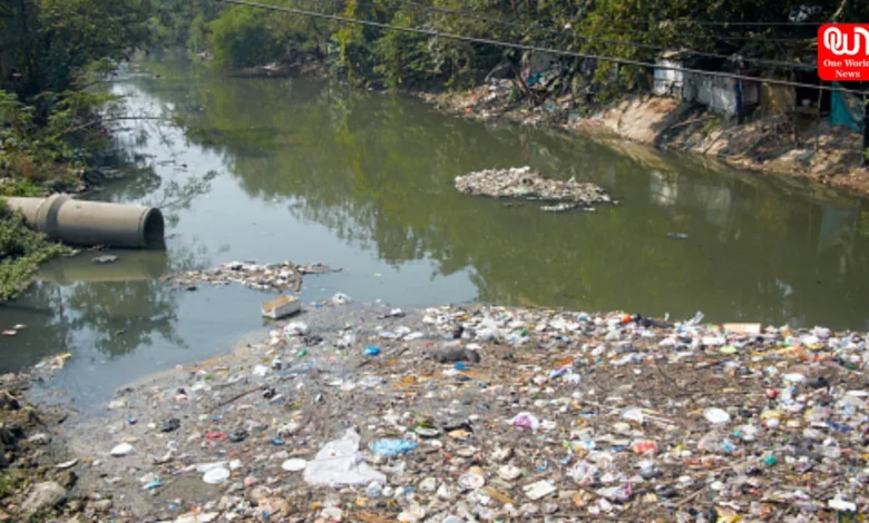 World Environment Day
