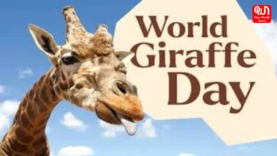 World Giraffe Day