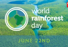 World Rainforest Day