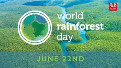 World Rainforest Day