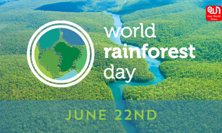 World Rainforest Day