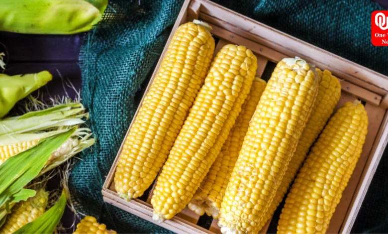 Benefits of Eating Corn in Monsoon Season