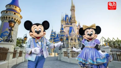 Disney World Travel Tips