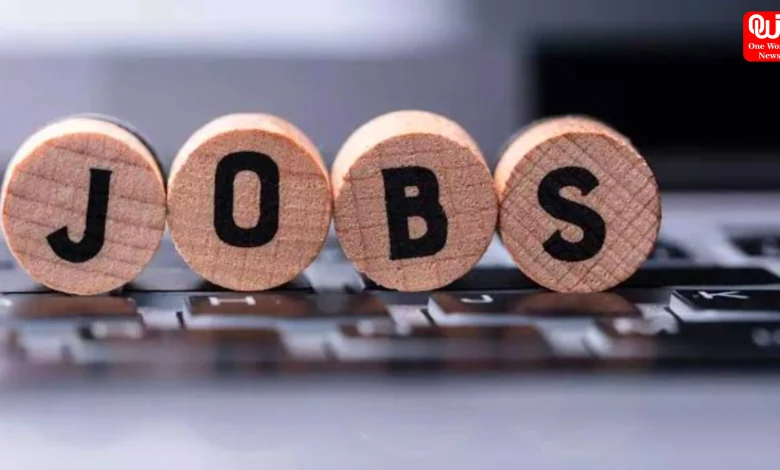 Job Opportunities