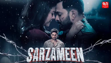 Sarzameen Review