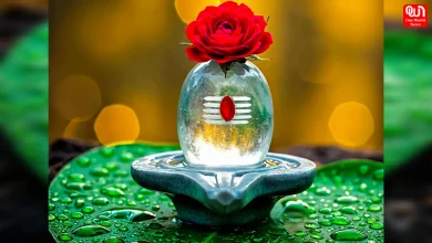 Sawan 2025 Shiva Puja