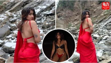 Sofia Ansari Sexy Look