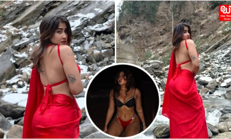 Sofia Ansari Sexy Look