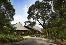 Coorg Travel in Monsoon