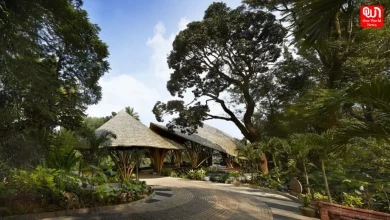Coorg Travel in Monsoon