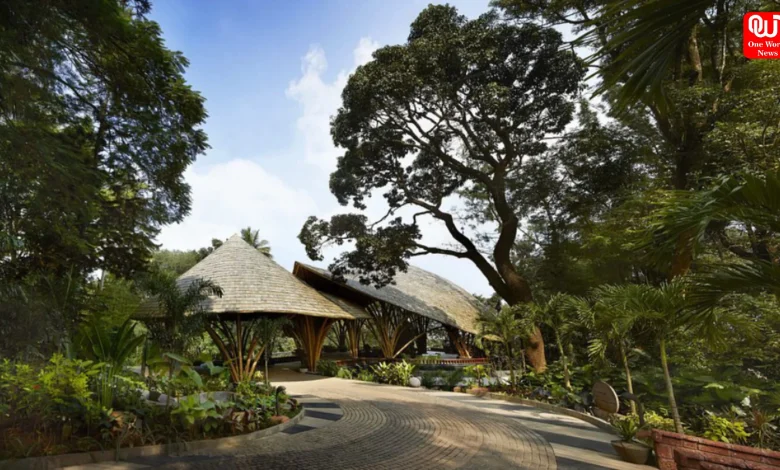 Coorg Travel in Monsoon