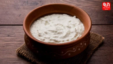 Curd Benefits