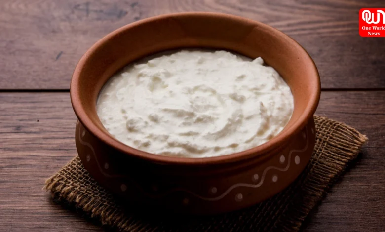 Curd Benefits